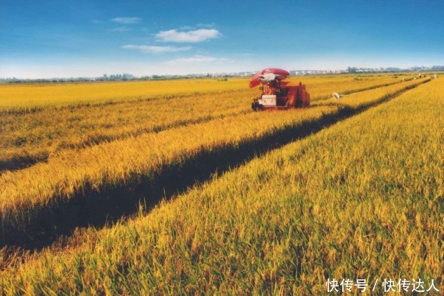 马化腾：穷人翻身赚钱的机会来了！未来这3大行业将迎来巨变
