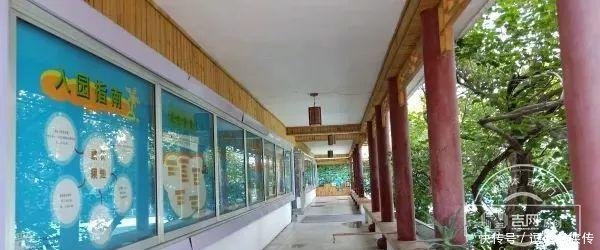 晚上搭帐篷、白天吃盒饭…长春街头惊现排队大