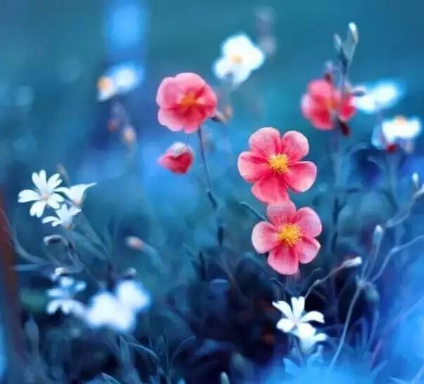 服装门店销售话术:如果顾客问完价嫌贵的,你就