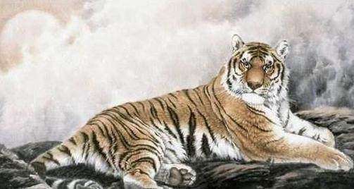 谁属虎?你知道自己6月下旬运势会如何吗?你不好奇?