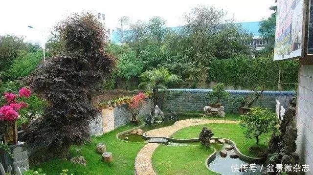 小庭院,植物就得这么搭配! 盈丰平台棋牌游戏官网