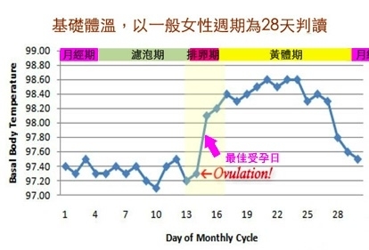 基础体温怎么测?