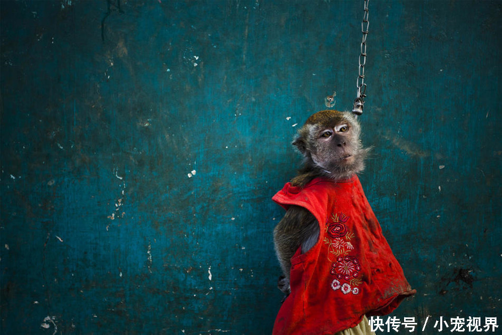 头出现奇怪表演者,游客了解后,得知背后残酷事