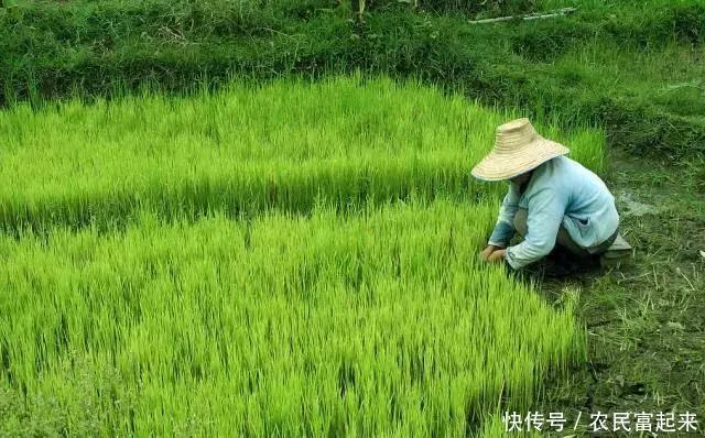 未来10年，农民的土地最终会落到谁的手里？未来土地发展形势