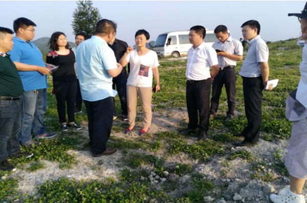 徐萍到油杉河景区调研项目建设和房屋拆迁安置工作