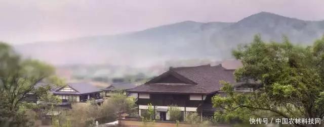 从无到有，年入6亿的特色小镇是如何炼成的？