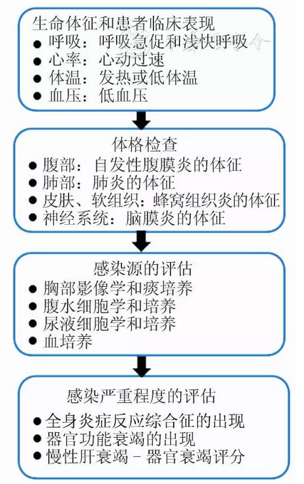 终末期肝病合并感染诊治的热点与难点