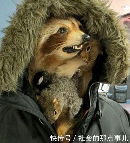 男子逛商场时发现门口有两个怪人,上前一看,