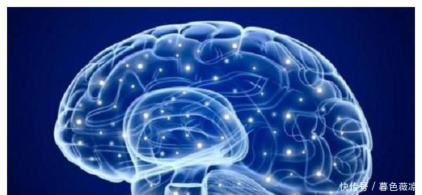 怀孕后,决定宝宝智商的关键2个月,宝宝出生后