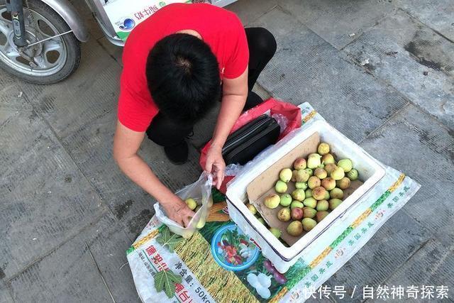 农村大妈早市做小生意卖“稀罕物”一元钱俩，很多年都没见过了