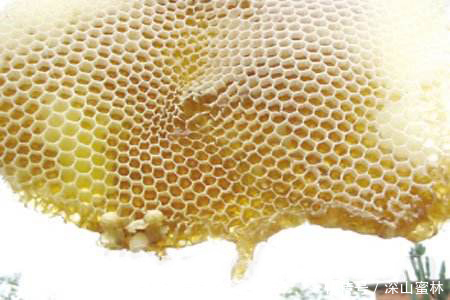 什么是未成熟蜜?未成熟蜂蜜怎么分辨?