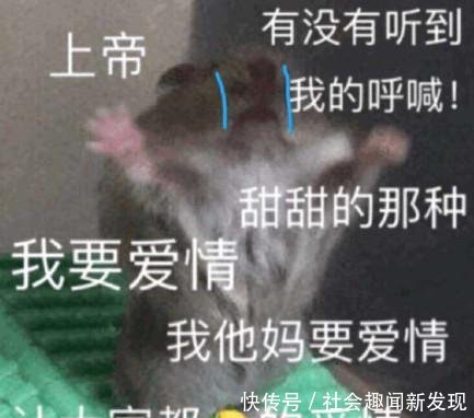 最近520可可风很大,第一眼怕看错,第二眼表情爱算了吧表情包图片