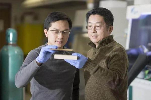 华人科学家发明超级木材,比钢铁还硬,子弹都