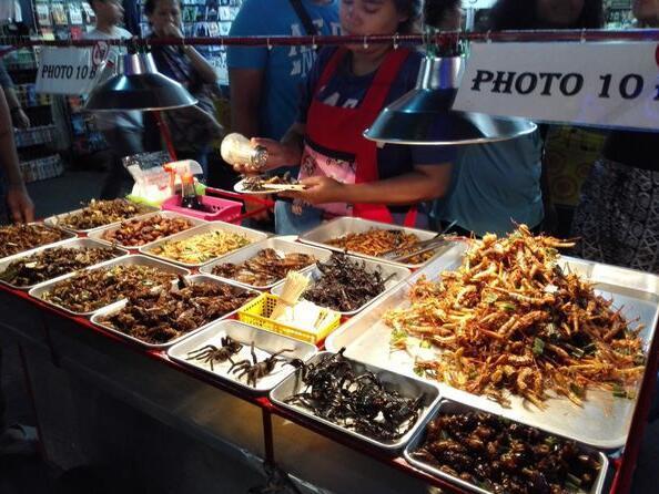 云南人真会吃:昆虫蛋白含量超高,但现在没落了!