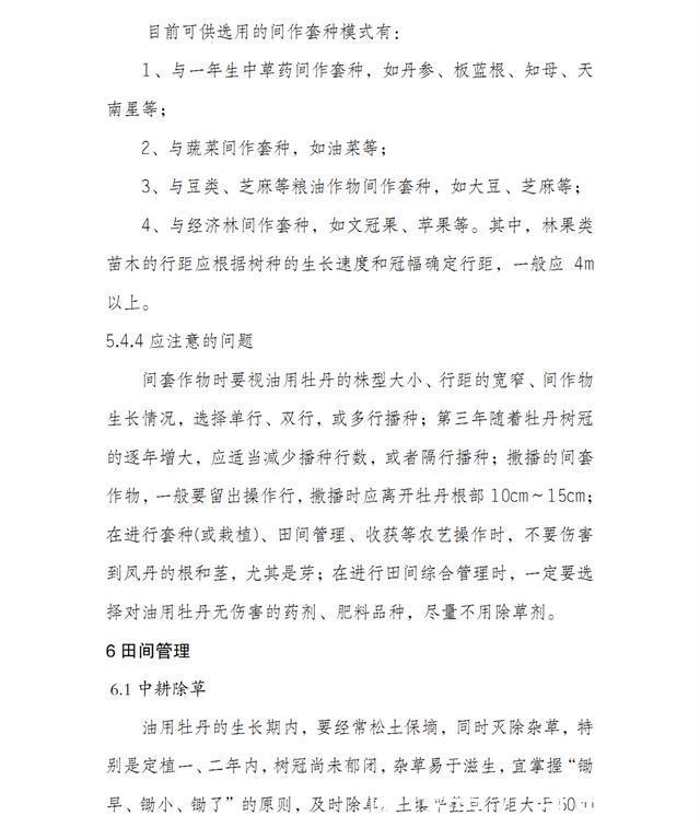 按照这9个条件去建设，才能申报油用牡丹示范项目补贴资金！