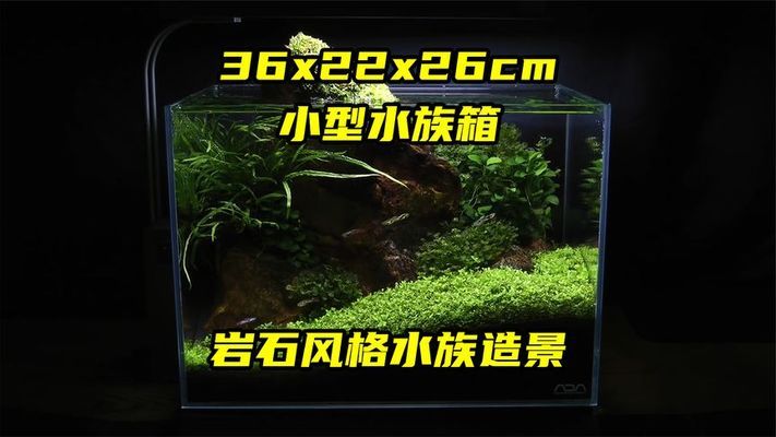 韶關(guān)魚缸售后維護(hù)中心 其他品牌魚缸