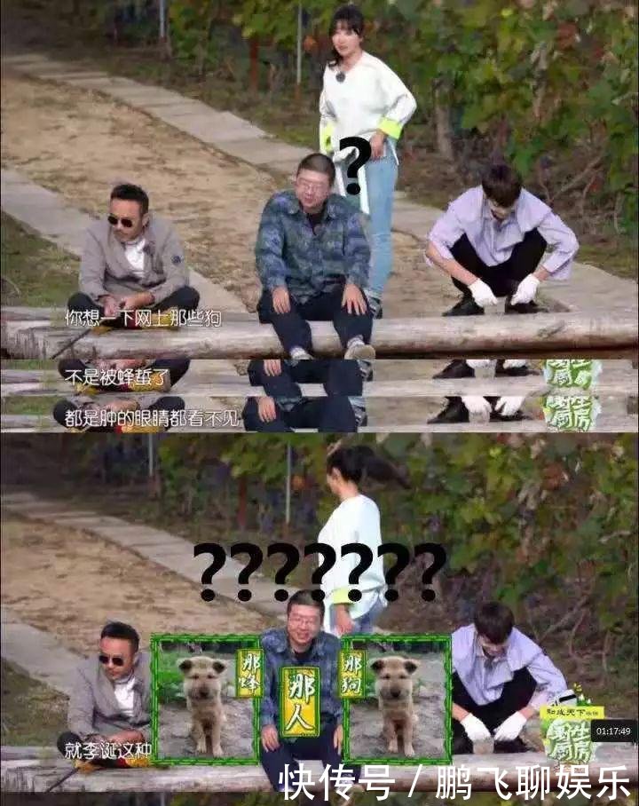 李诞被柳岩吐槽像被蜜蜂蜇过的狗 当事人知道