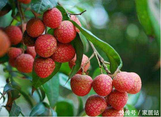 这几样东西万万别放冰箱,幸好师傅提醒我,好多