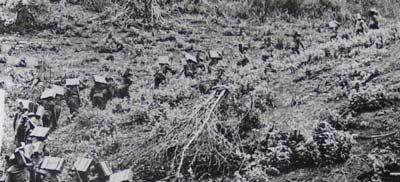 对越自卫反击战,中越7.12松毛岭大血战,我军炮