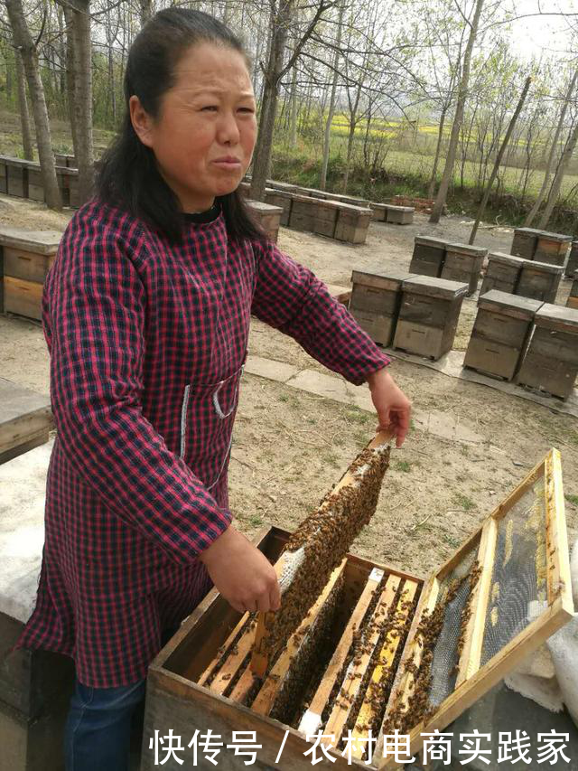 浅谈乡村振兴之信息孤岛与信息化建设的重要性
