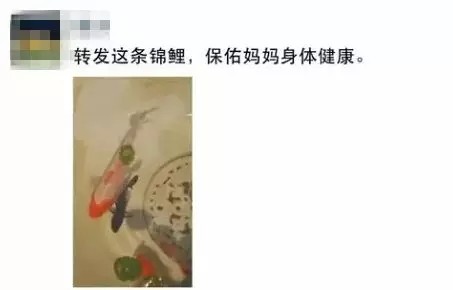 【浔南名邸】母亲节朋友圈汇总，只有你想不到...