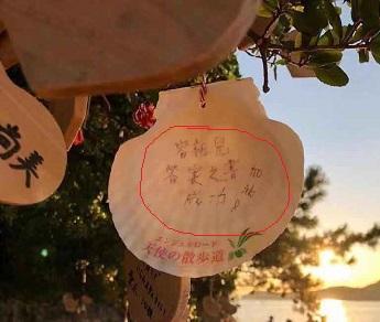 容祖儿日本海岛旅游,惊奇发现许愿树上11个大