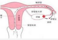 白带异常,有血丝,有过流出来的都是灰的东西,是
