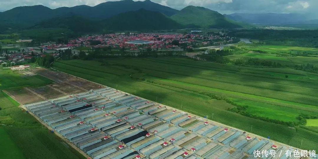 尚志市属于哪个市