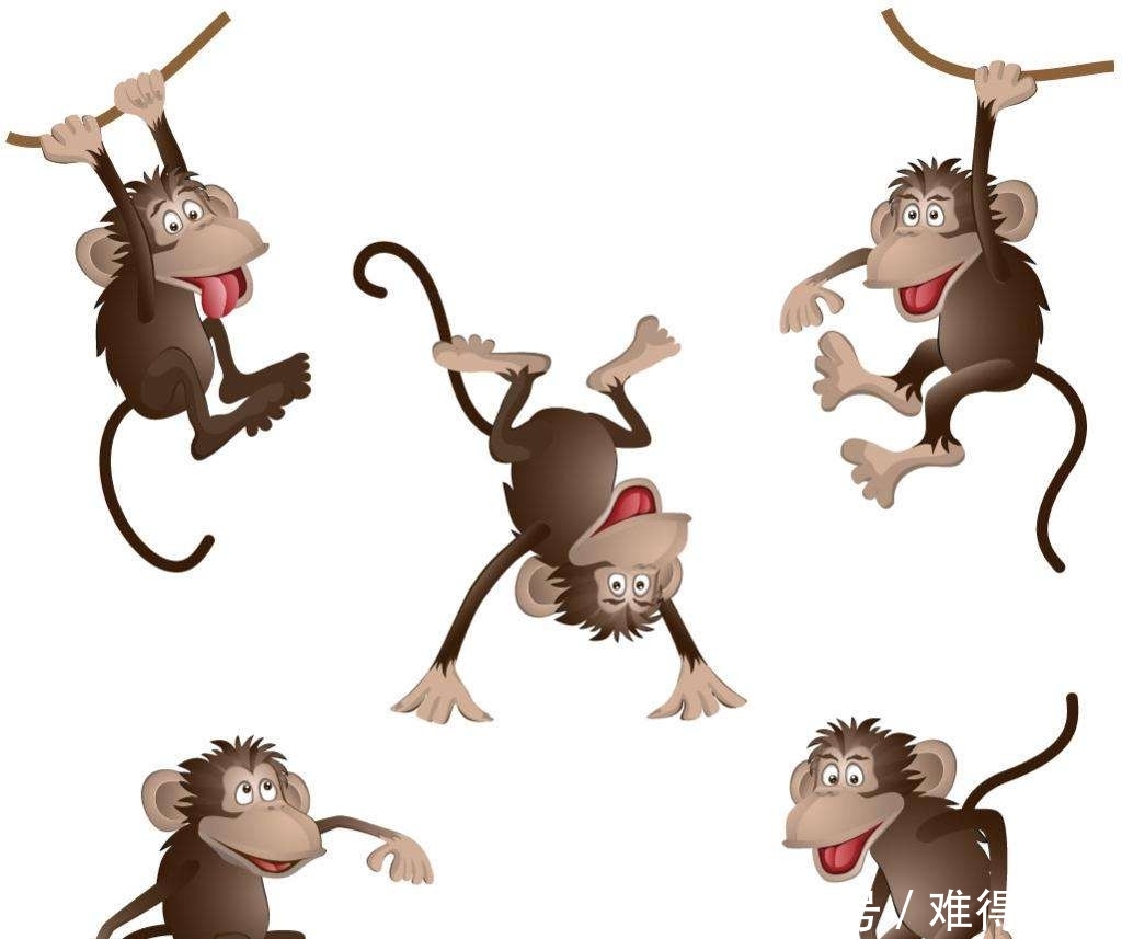 皮皮大笑 2019最搞笑的段子语录 快点保存吧