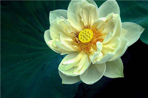 情人节,有这5个表现的男人,一定很在意你!