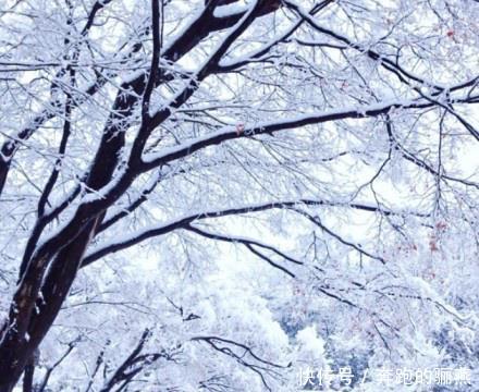 关于冬至孤单一个人的说说,戳心入骨,不知不觉