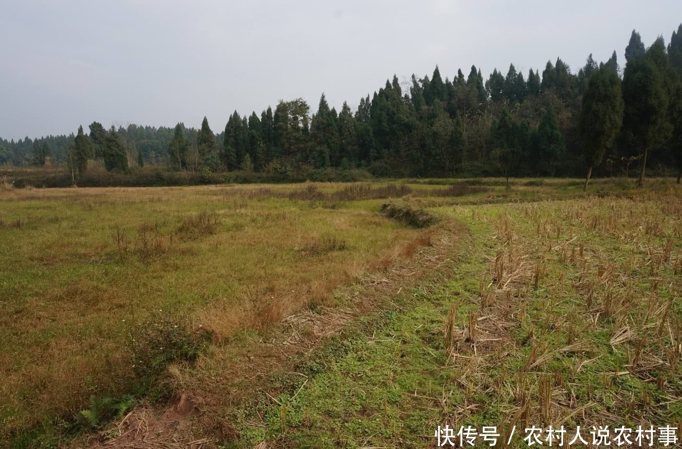 土地有偿退出之后，农民将失去土地的使用权，农民要注意！