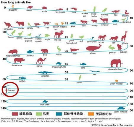 人类寿命在动物的界中算什么水平?!_【快资讯】
