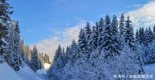 怎么查档案在哪里