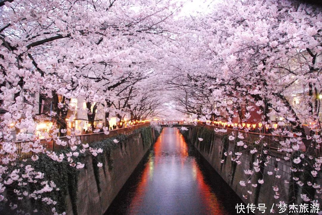 日本网友票选：日本绝景樱花胜地排行榜TOP5！