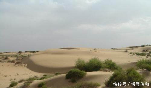 破坏环境的事例