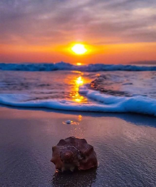 2019正能量奋斗的句子,句句激励人心!