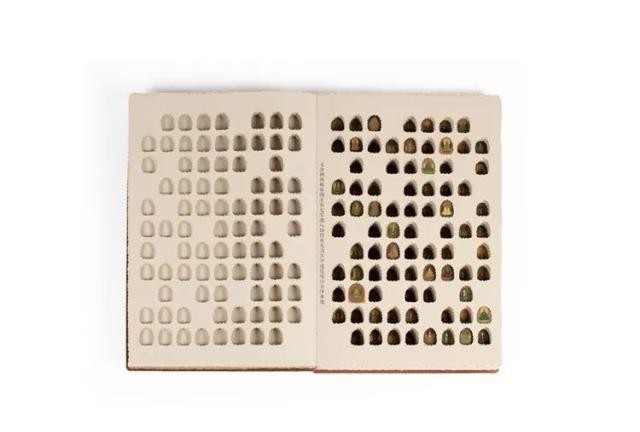 黑龙江13届4次会议时间