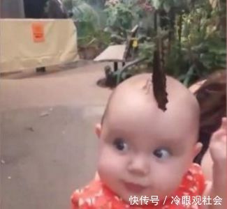 在街上宝宝的发型吸引了路人的目光，走近一看，却令人惊讶不已！