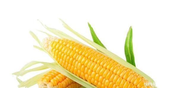 t014b3d85617c7d7e3d.jpg