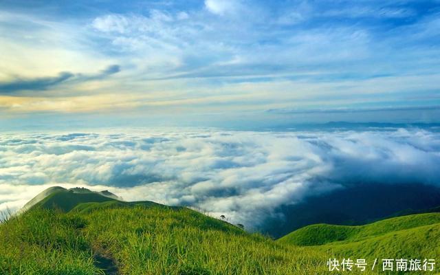 t014b4be44ff1699fb9.jpg