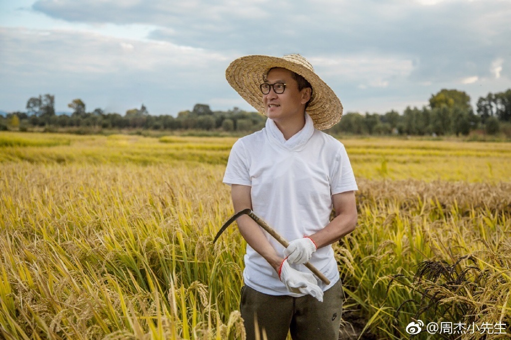 一张割稻图暴露他的上亿身价！原来周杰是比赵薇更厉害的富豪啊