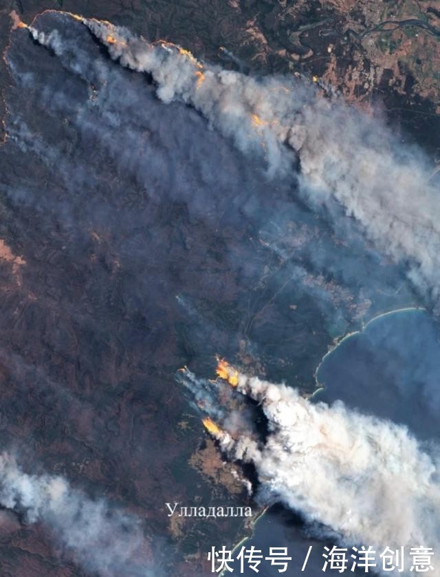 澳大利亚为什么多火灾