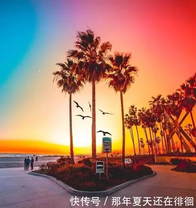 10句朋友圈每一个人情感句子,因为爱所以伤_【