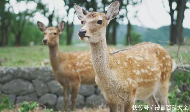 异地办理签证