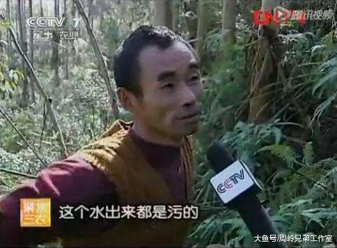 广西种植桉树的人开始强力反驳 利益驱使下速生桉种植达4000万亩