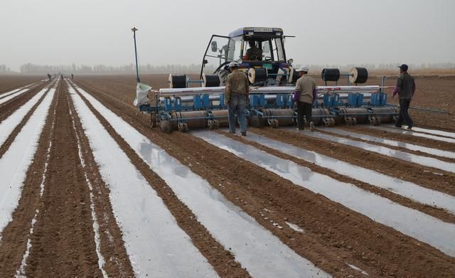 暴雨、强对流天气蓝色预警!未来一周春耕春播