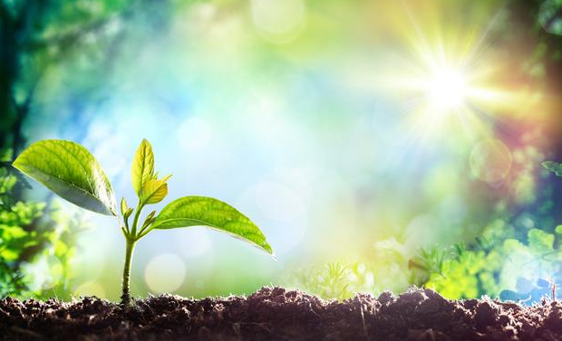 从前的我,什么都信;如今的我,不再是从前的我!