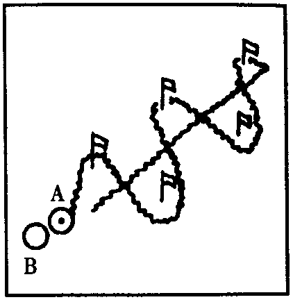 足球,带球怎么带球训练呢?