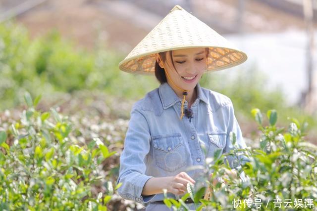 《向往的生活》片酬排行何炅最高,黄磊片酬却